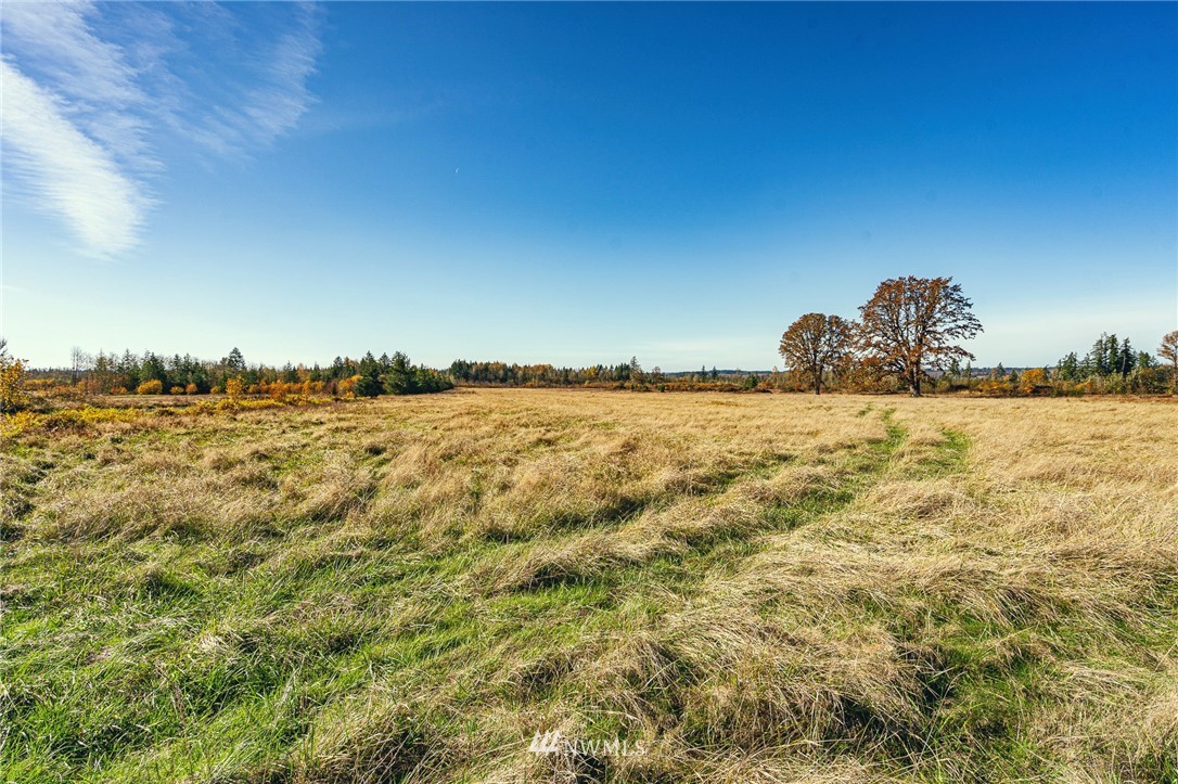-xxx Evans Road Toledo, WA 98591 - Photo 19 of 25 Gallery Image 19