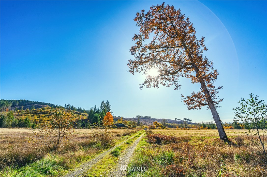 -xxx Evans Road Toledo, WA 98591 - Photo 20 of 25 Gallery Image 20