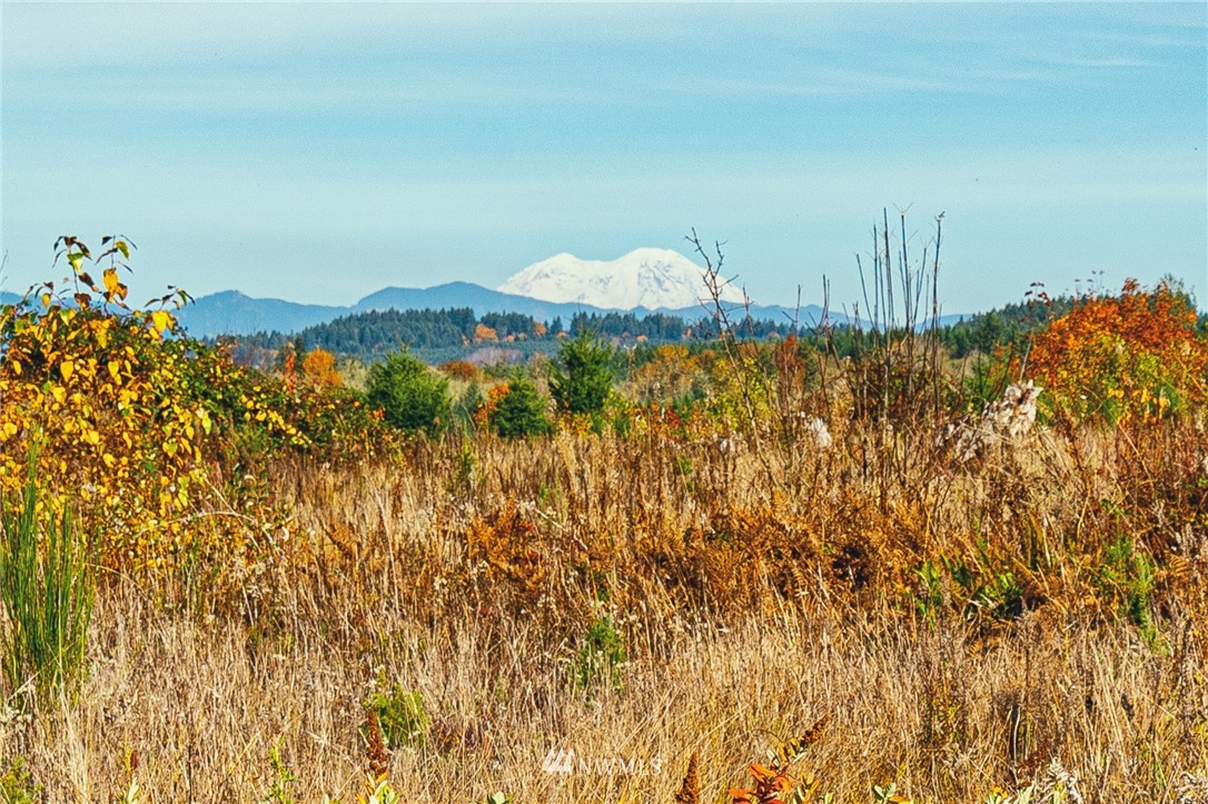 -xxx Evans Road Toledo, WA 98591 - Photo 3 of 25 Gallery Image 3