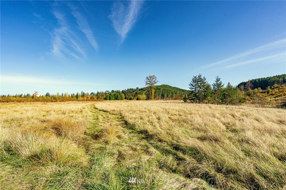 -xxx Evans Road Toledo, WA 98591 - Photo 24 of 25 Gallery Image 24