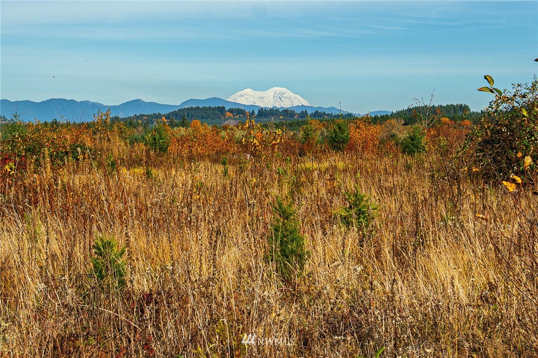 -xxx Evans Road Toledo, WA 98591 - Photo 4 of 25 Gallery Image 4