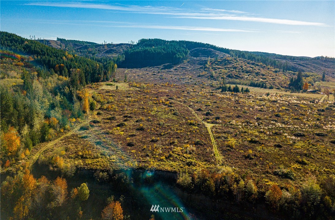 -xxx Evans Road Toledo, WA 98591 - Photo 8 of 25 Gallery Image 8