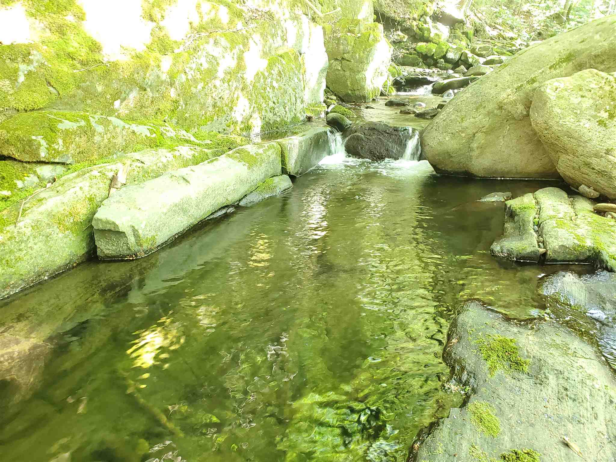 73 Sprague Brook Road Jacksonville, VT 05342 - Photo 6 of 27