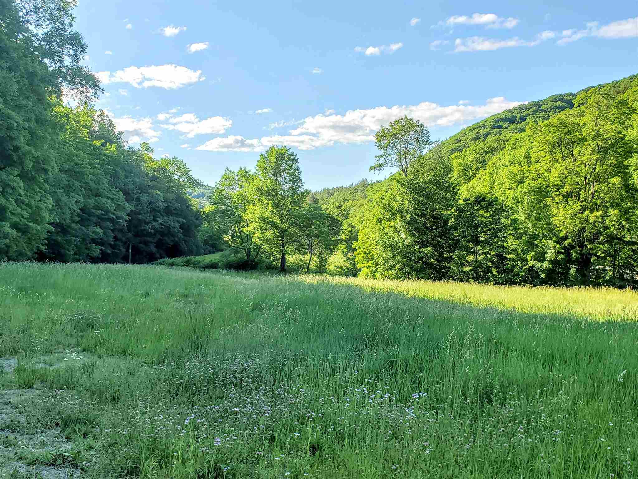 73 Sprague Brook Road Jacksonville, VT 05342 - Photo 10 of 27
