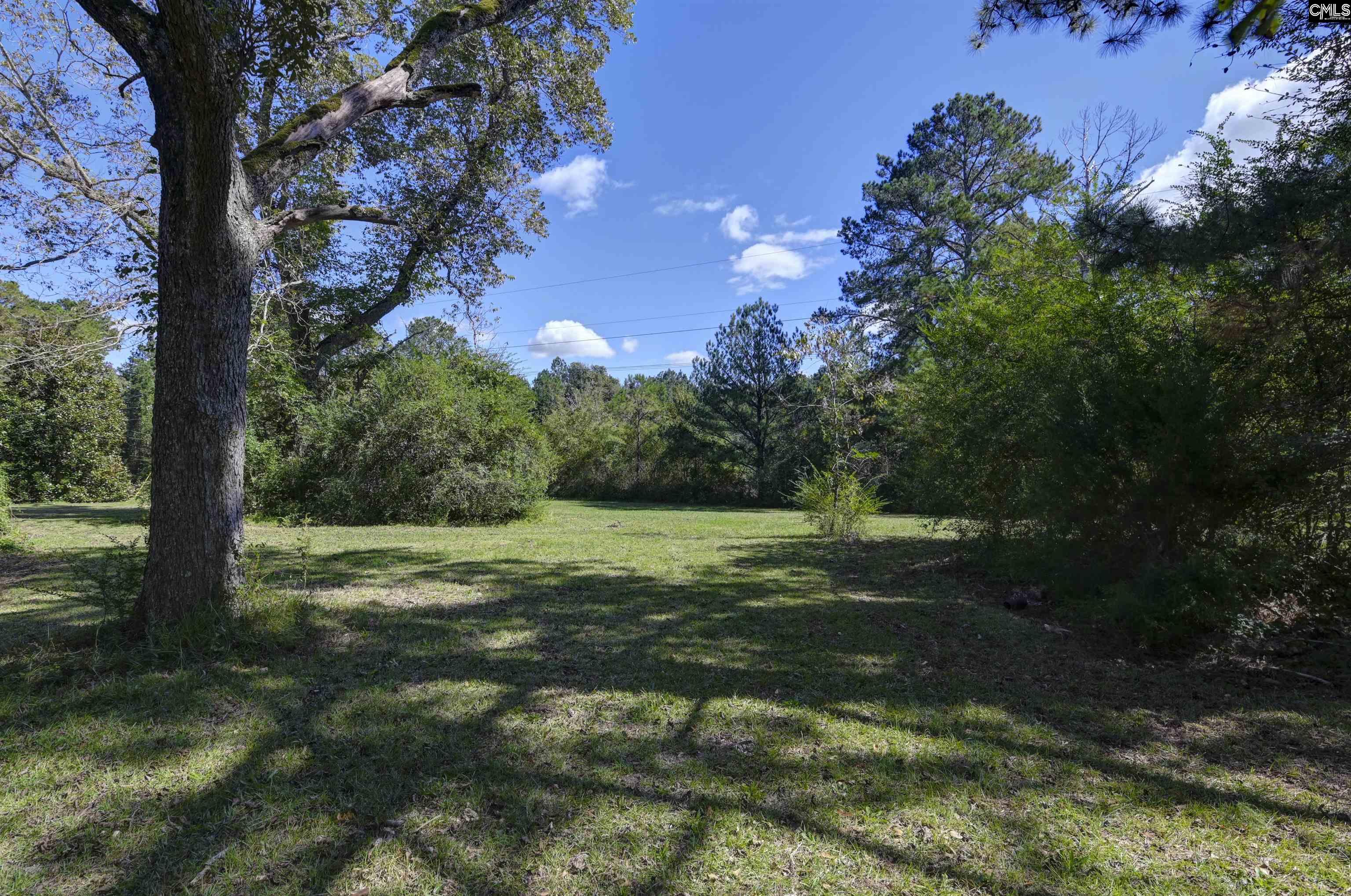 2045 State Rd S-32-235 Leesville, SC 29070 - Photo 9 of 50