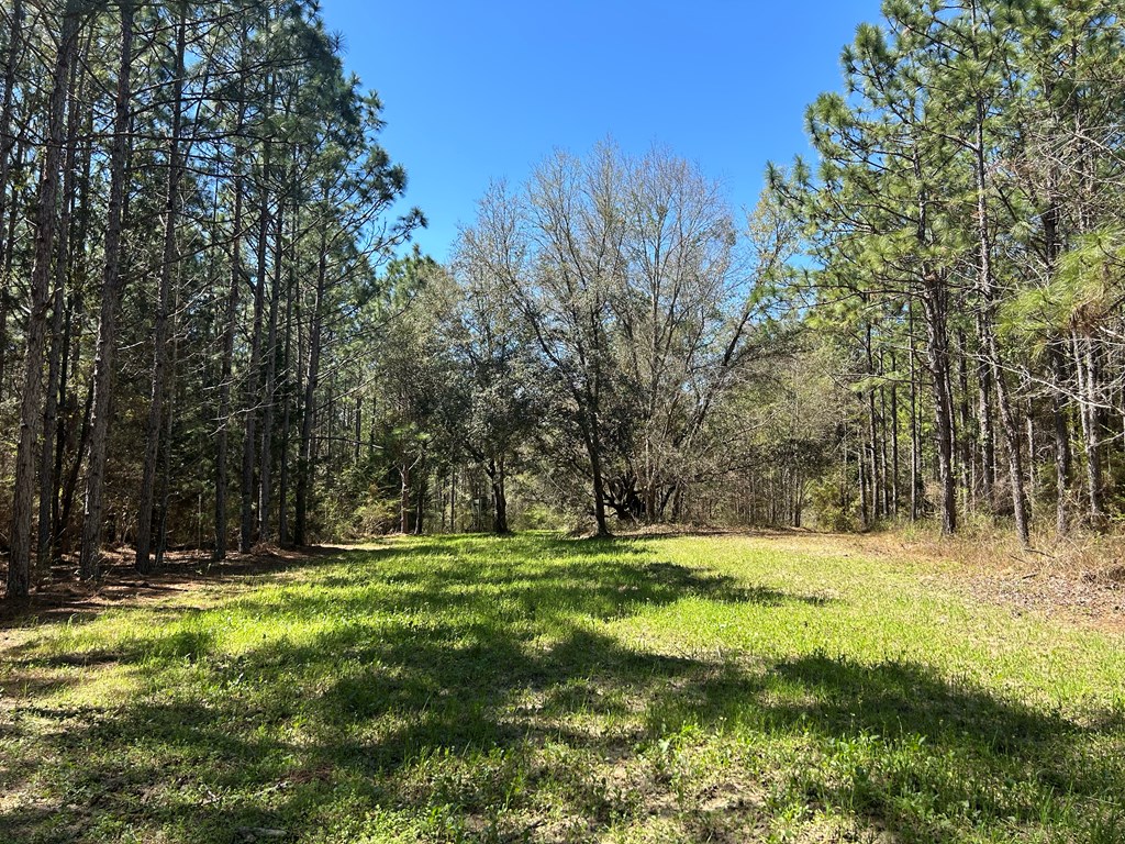 923 Lakeview Road Slocomb, AL 36375 - Photo 44 of 45