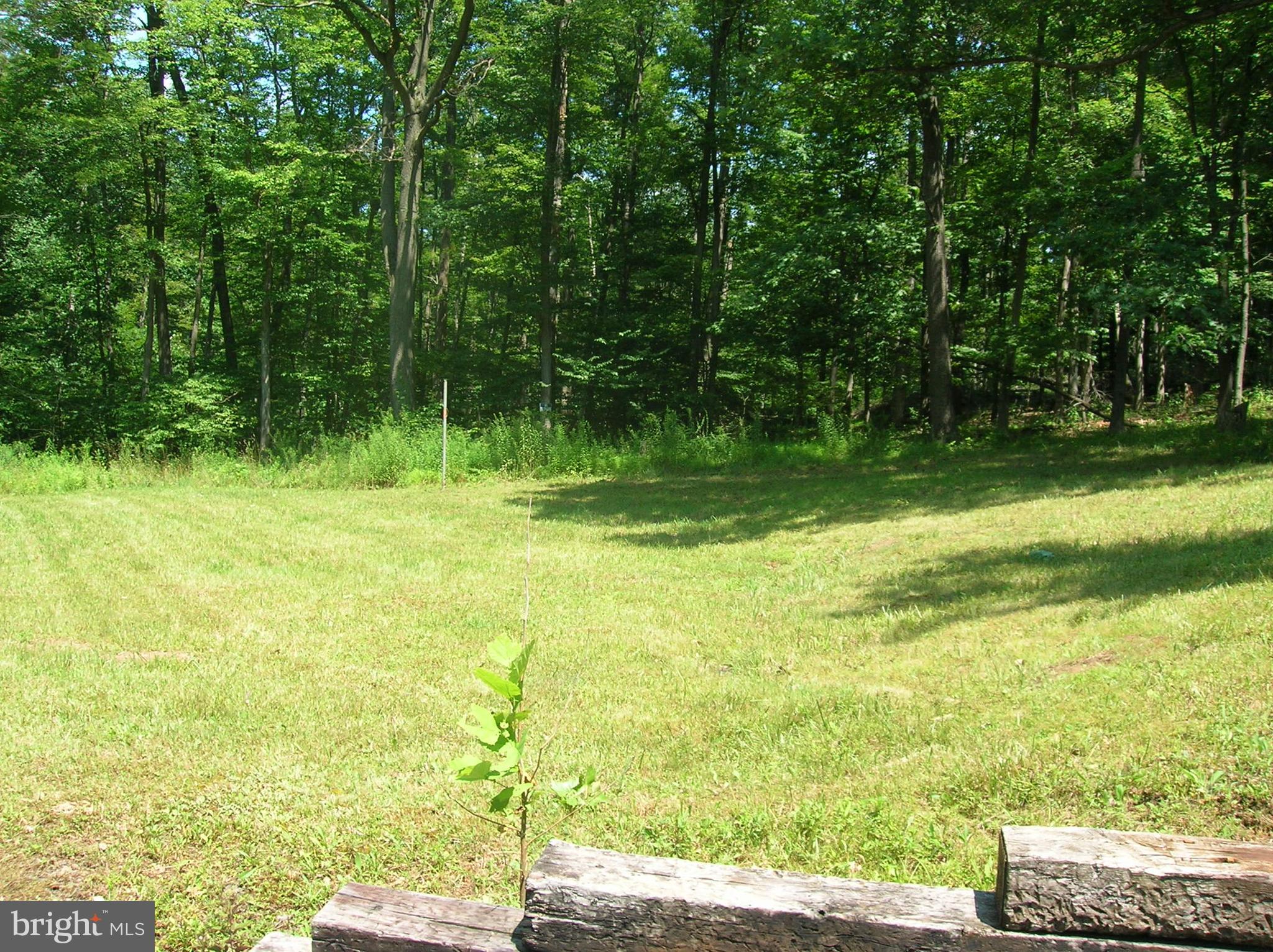 720 & 740 Ridge Rd Pa Blain, PA 17006 - Photo 5 of 18 back yard