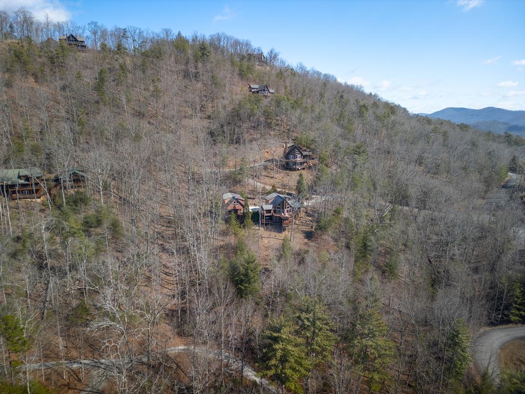 101 Falling Rock Road Blue Ridge, GA 30513 - Photo 58 of 64