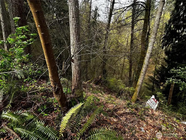 $160,000 | 0 Adjacent To Baldwin Road, Bothell, WA 98012