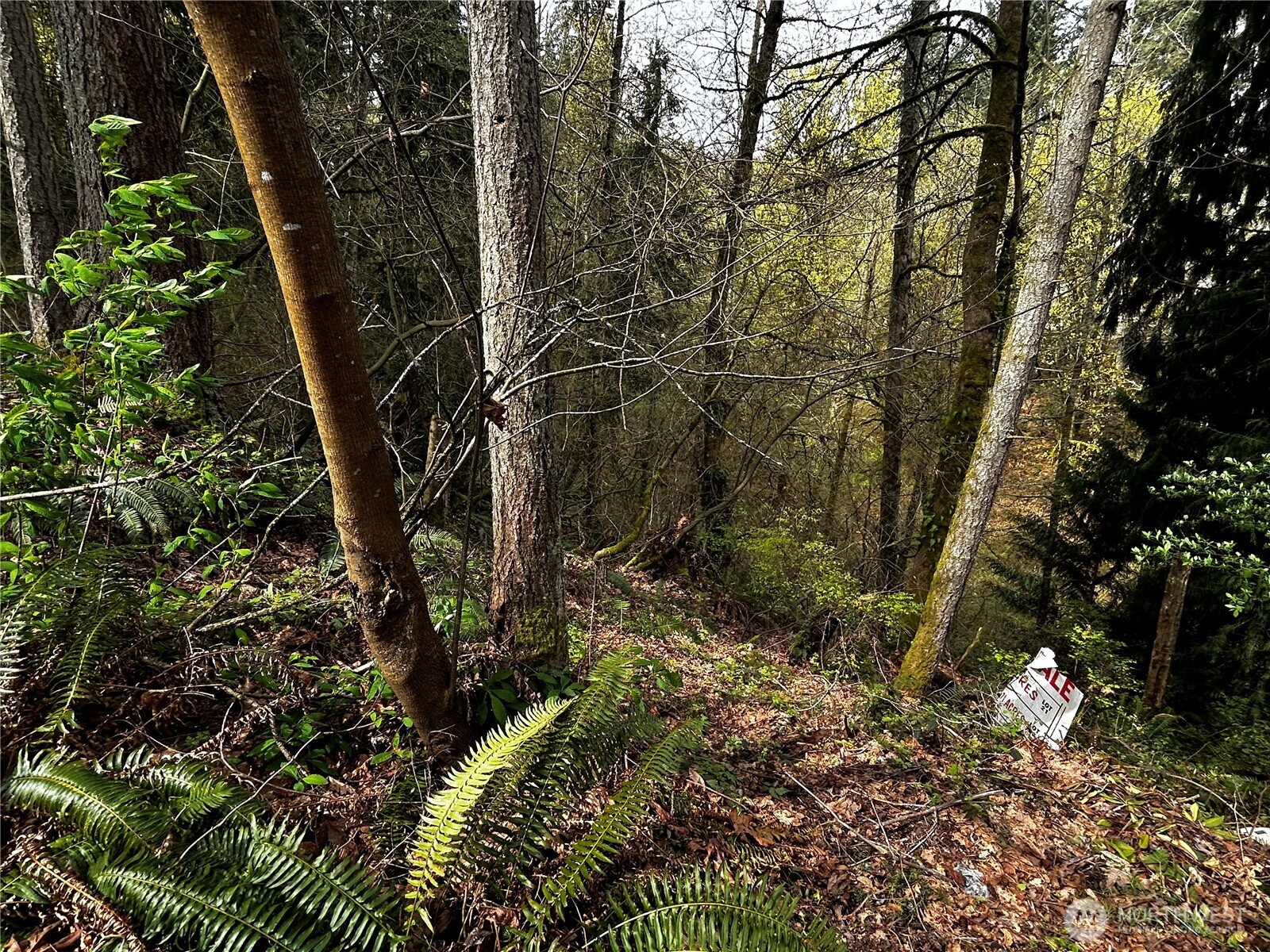 0 Adjacent To Baldwin Road Bothell, WA 98012 - Photo 4 of 4