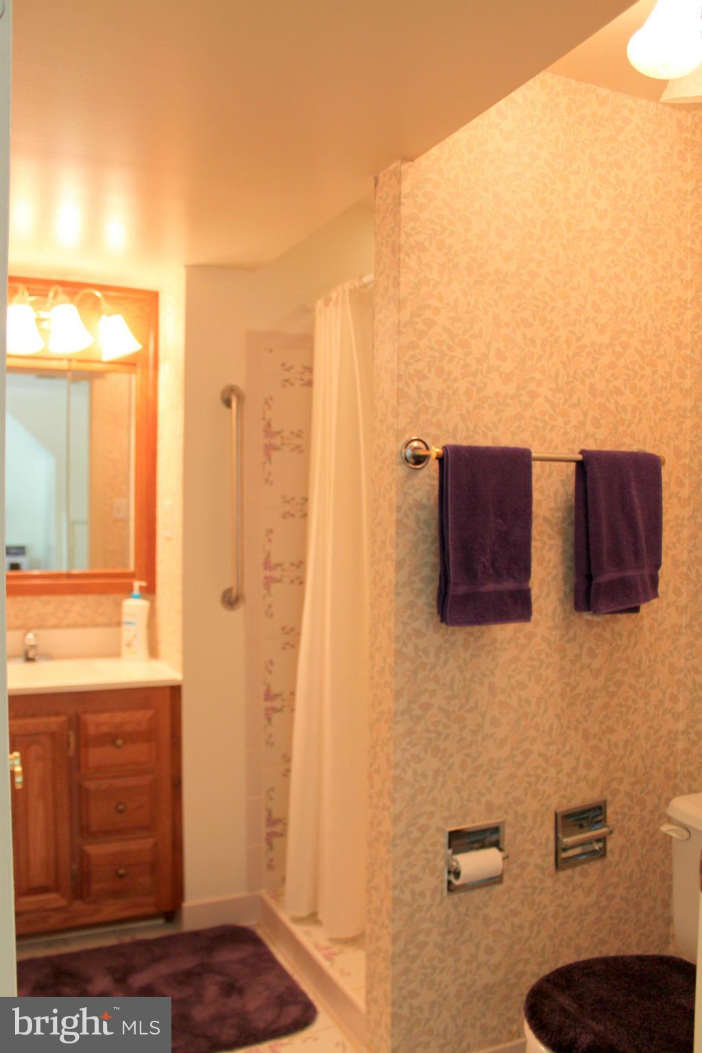 6228 Hillside Road Springfield, VA 22152 - Photo 14 of 19 Basement Full Bath