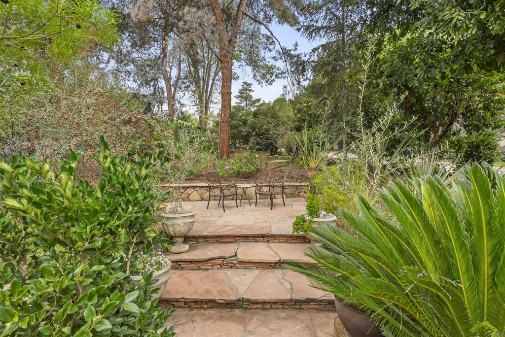 4847 Vita Road La Mesa, CA 91941 - Photo 61 of 73 a view of a yard with plants and trees