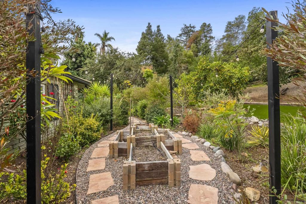 4847 Vita Road La Mesa, CA 91941 - Photo 63 of 73 a view of a yard with plants and large trees