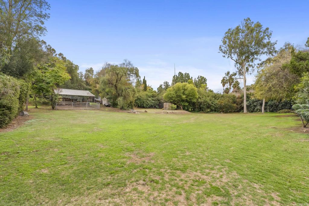4847 Vita Road La Mesa, CA 91941 - Photo 65 of 73 a view of a green field with trees in the background