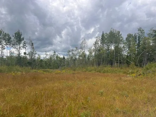 $33,000 | Lot 6 Estabrook Road, Amity, ME 04471