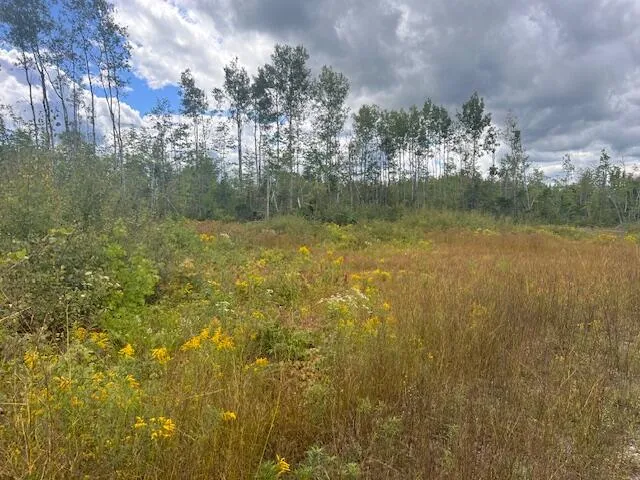 $33,000 | Lot 6 Estabrook Road, Amity, ME 04471