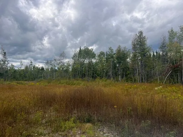 $33,000 | Lot 6 Estabrook Road, Amity, ME 04471