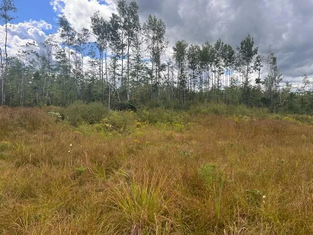 $33,000 | Lot 6 Estabrook Road, Amity, ME 04471