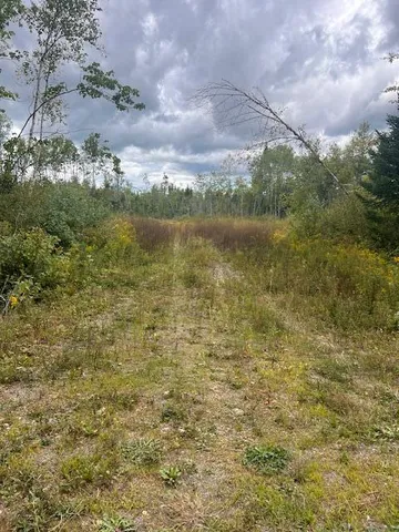 $33,000 | Lot 6 Estabrook Road, Amity, ME 04471