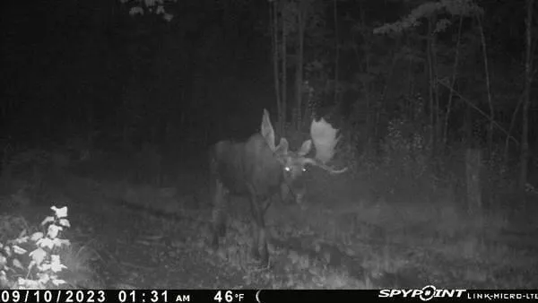 $33,000 | Lot 6 Estabrook Road, Amity, ME 04471