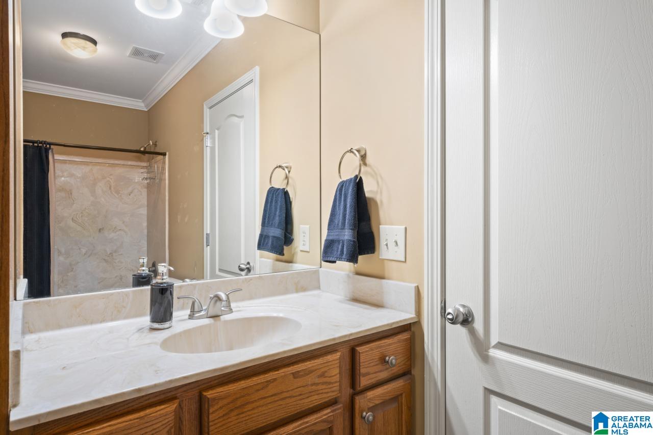 22562 Iron Masters Loop McCalla, AL 35111 - Photo 29 of 41