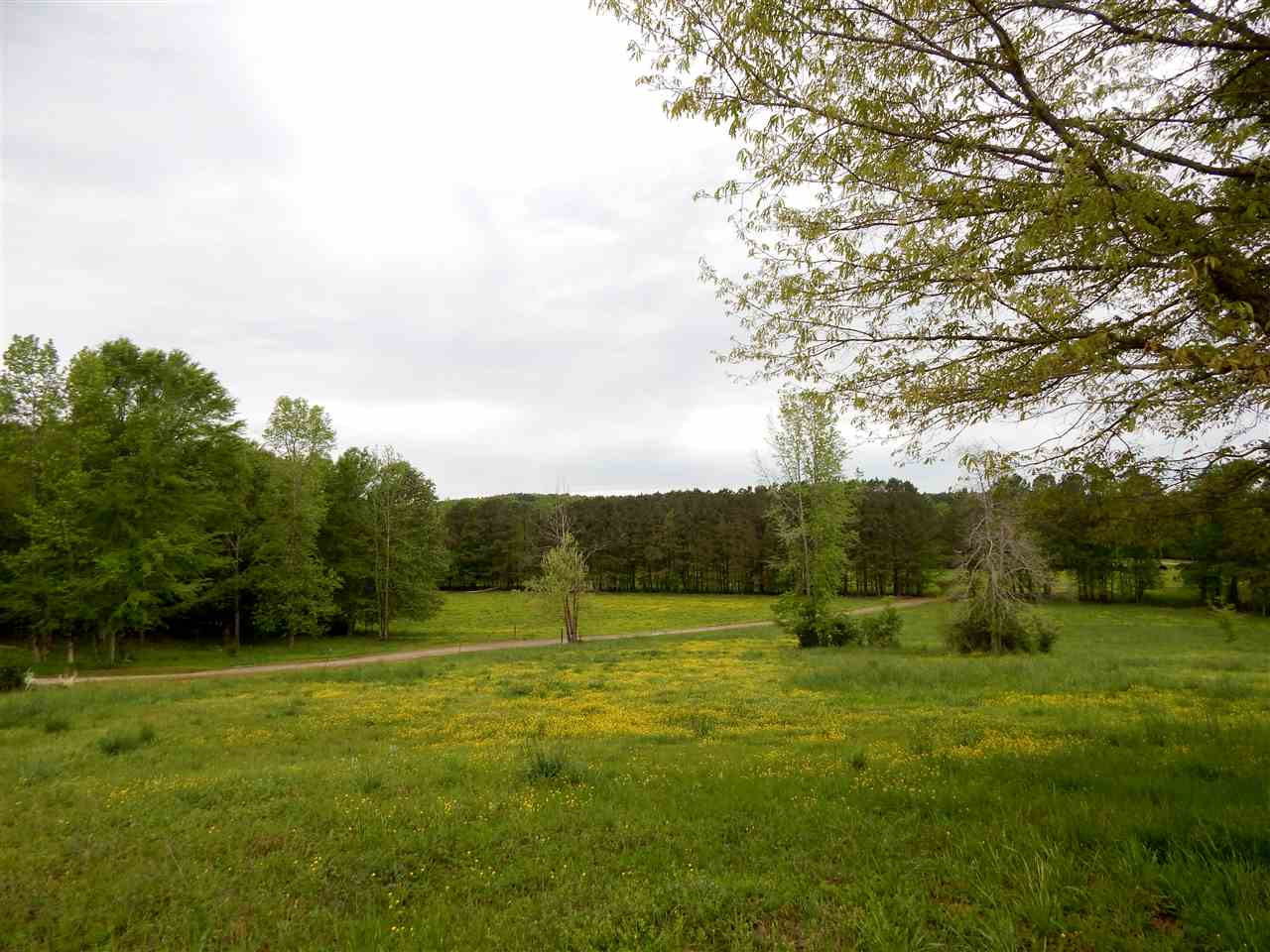 2990 Scarborough Road Carthage, MS 39051 - Photo 39 of 46 Photo 39