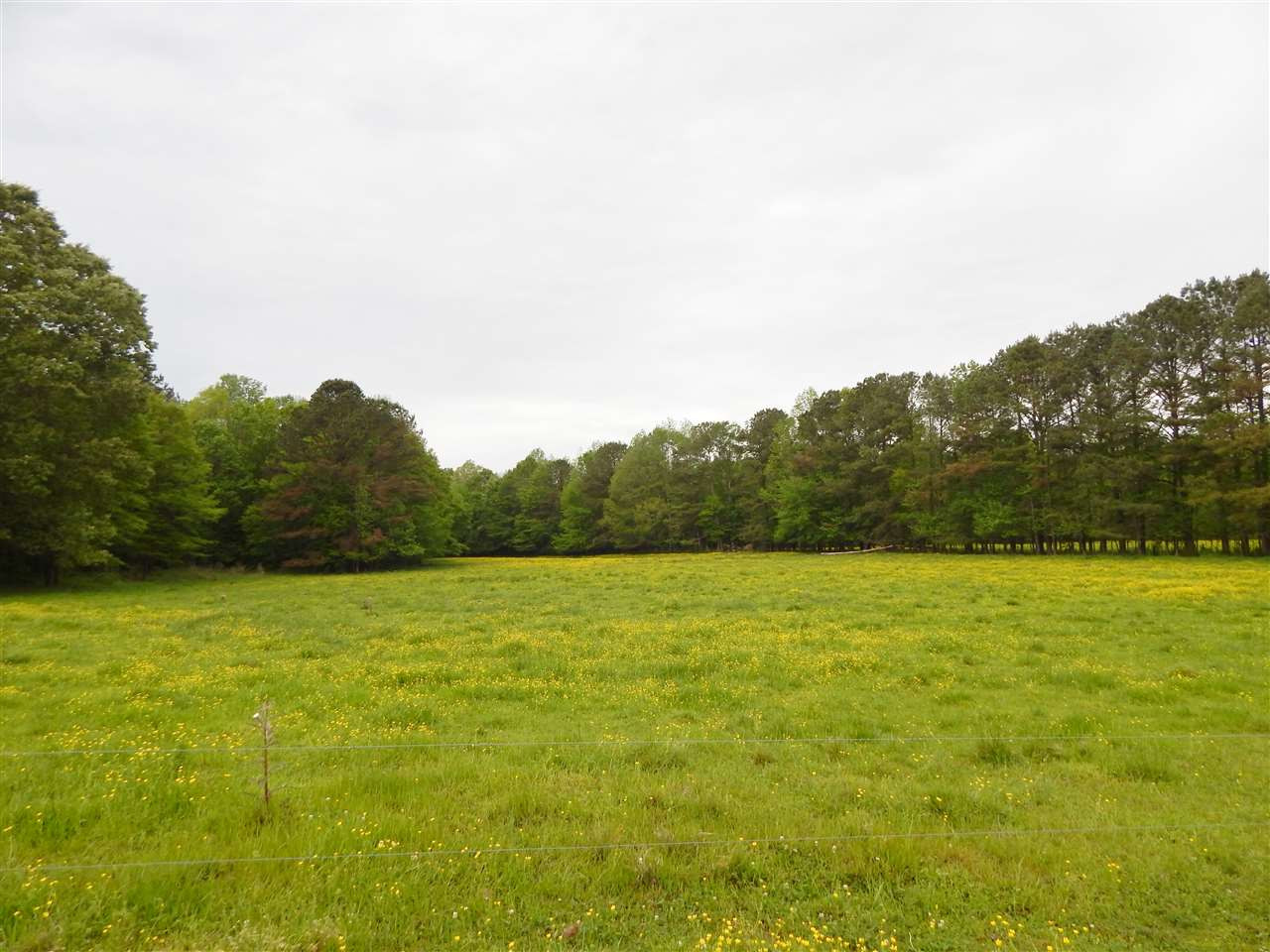 2990 Scarborough Road Carthage, MS 39051 - Photo 41 of 46 Photo 41