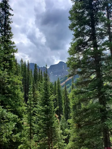 a view of a city with lush green forest
