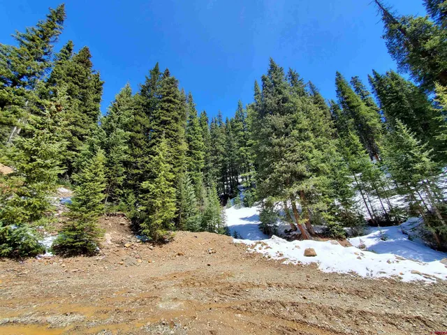 a view of a snow on the background