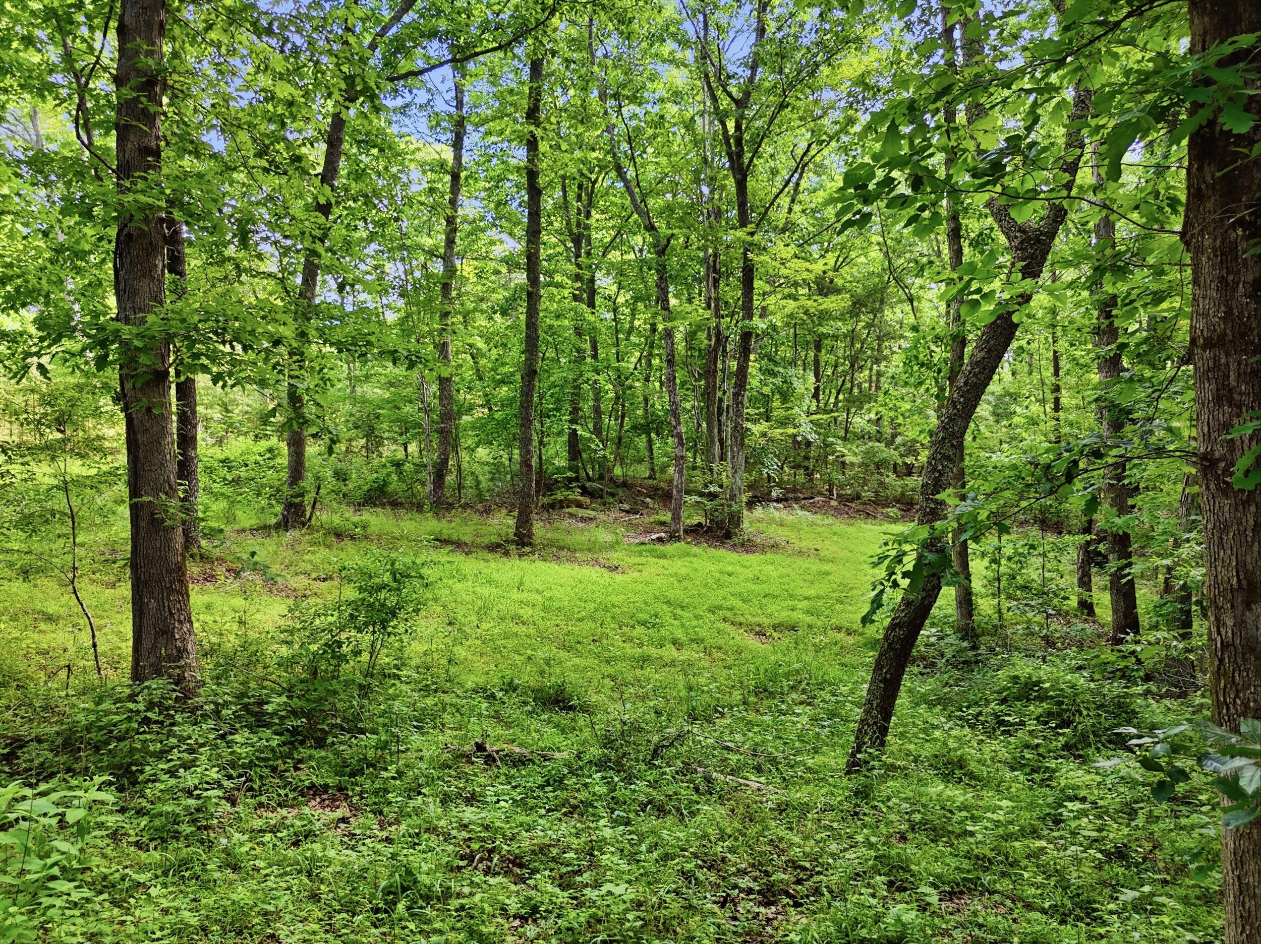739 South Moore Road Rising Fawn, GA 30738 - Photo 21 of 26 dji_20260528103234_0707_d