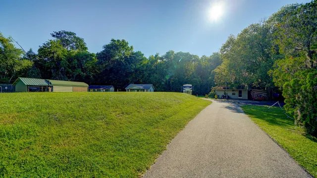 a view of a park with large trees