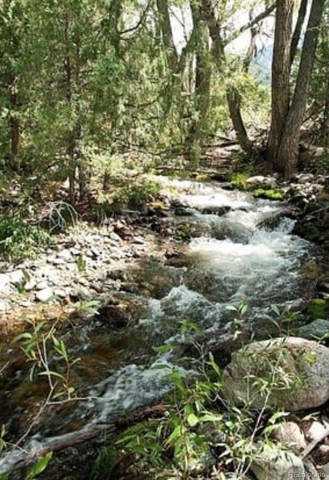 3899 Rarity Way Crestone, CO 81131 - Photo 11 of 11