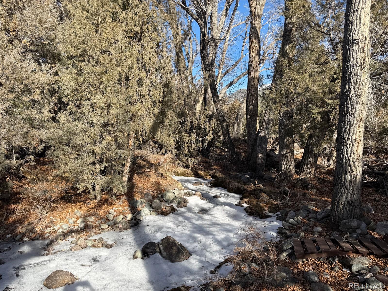 3899 Rarity Way Crestone, CO 81131 - Photo 4 of 11