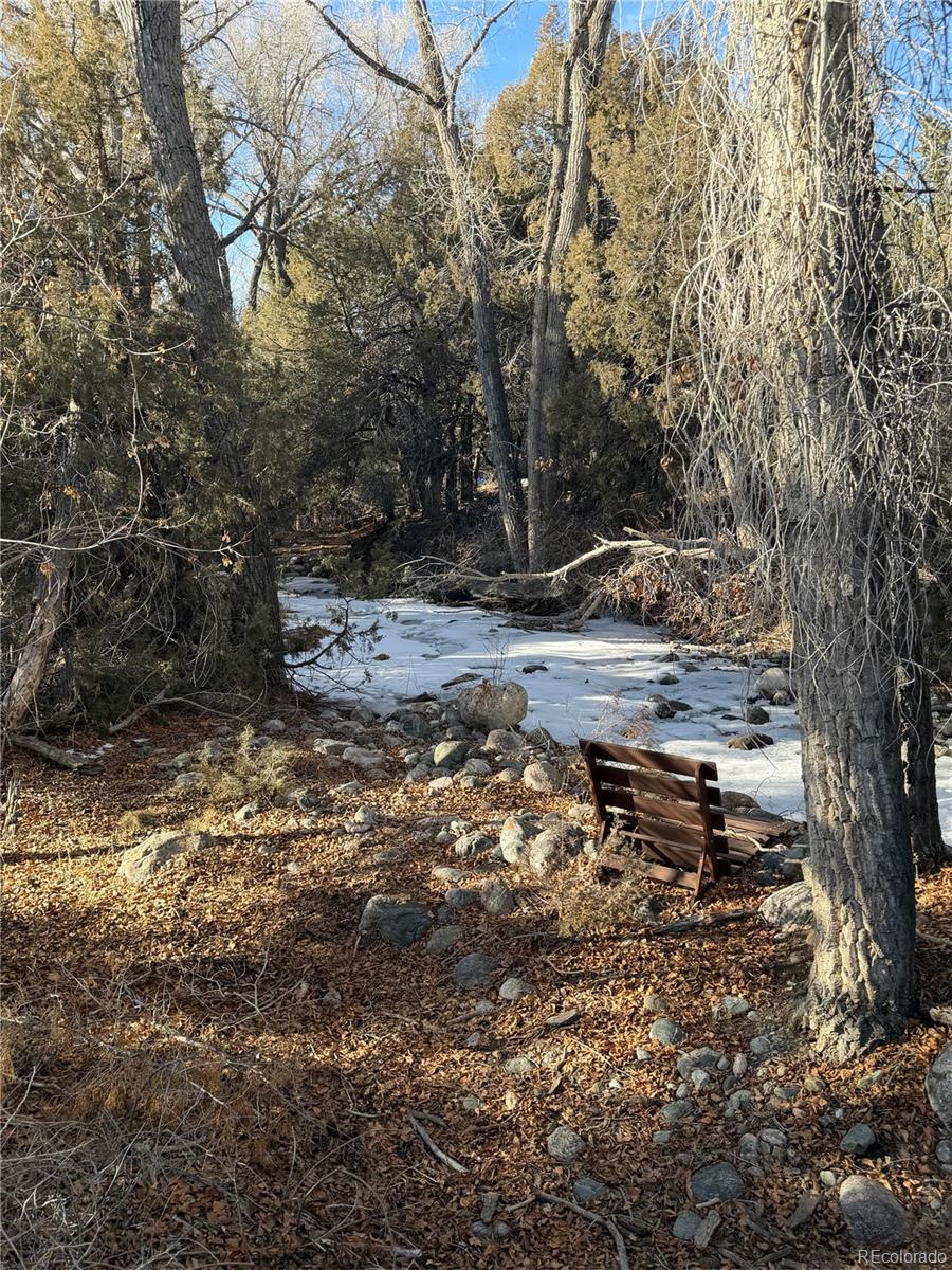 3899 Rarity Way Crestone, CO 81131 - Photo 5 of 11