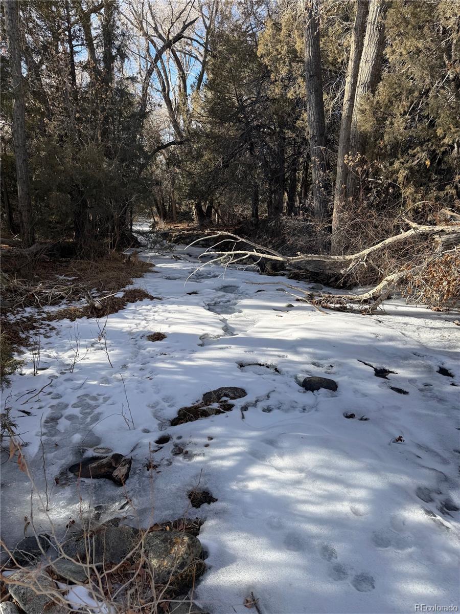 3899 Rarity Way Crestone, CO 81131 - Photo 6 of 11