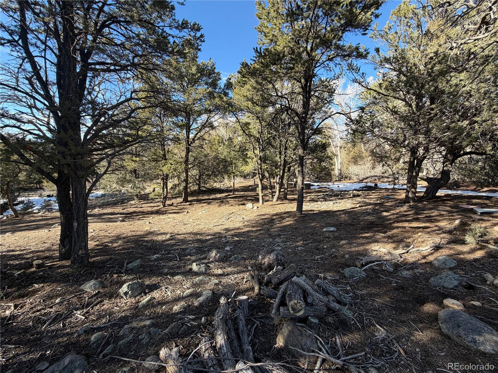 3899 Rarity Way Crestone, CO 81131 - Photo 7 of 11