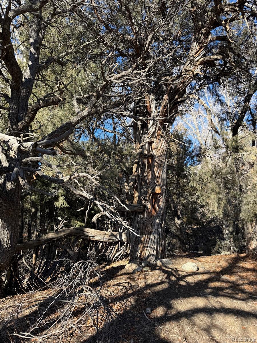 3899 Rarity Way Crestone, CO 81131 - Photo 8 of 11