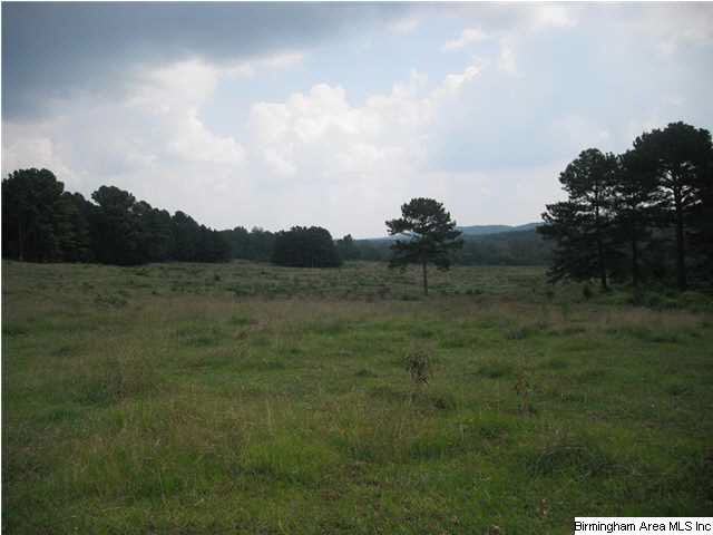 Pepper Road, Unit 61 Ashland, AL 36251 - Photo 10 of 10