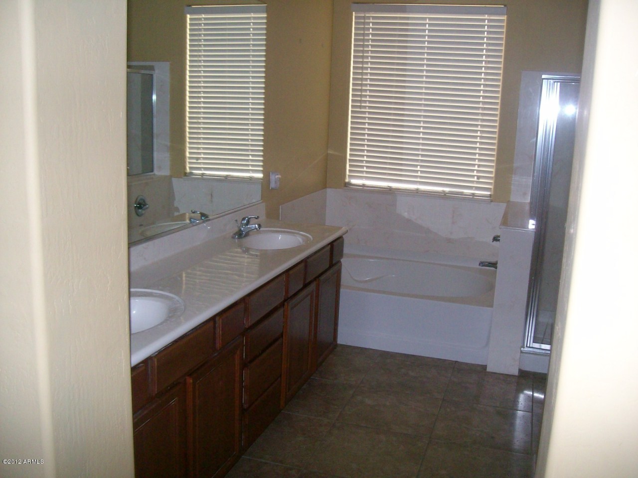 15324 West Calavar Road Surprise, AZ 85379 - Photo 4 of 5 master bath