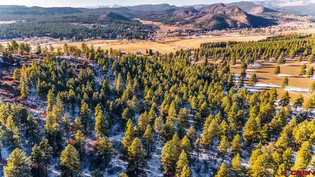 $599,000 | Tbd Lot 13 Tbd Drive, Bayfield, CO 81122