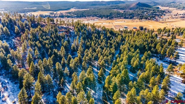 $599,000 | Tbd Lot 13 Tbd Drive, Bayfield, CO 81122