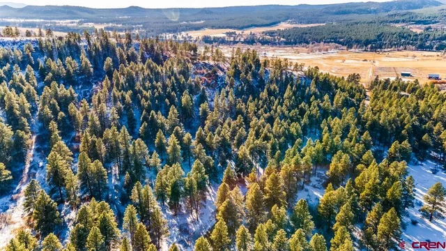 $599,000 | Tbd Lot 13 Tbd Drive, Bayfield, CO 81122