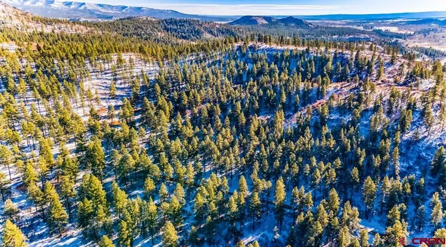 $599,000 | Tbd Lot 13 Tbd Drive, Bayfield, CO 81122