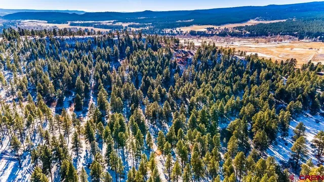 $599,000 | Tbd Lot 13 Tbd Drive, Bayfield, CO 81122