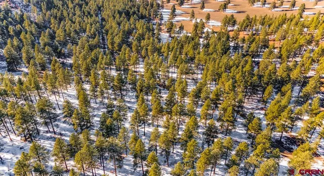 $599,000 | Tbd Lot 13 Tbd Drive, Bayfield, CO 81122