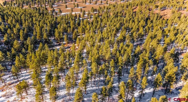 $599,000 | Tbd Lot 13 Tbd Drive, Bayfield, CO 81122