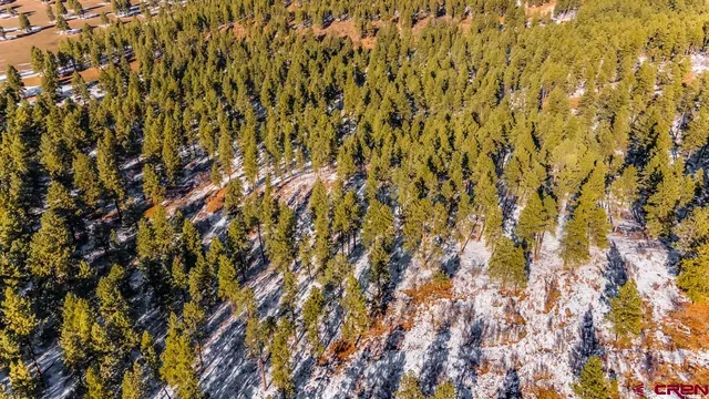 $599,000 | Tbd Lot 13 Tbd Drive, Bayfield, CO 81122