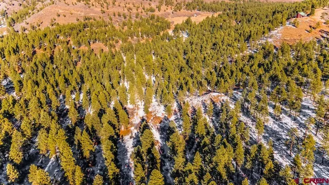 $599,000 | Tbd Lot 13 Tbd Drive, Bayfield, CO 81122