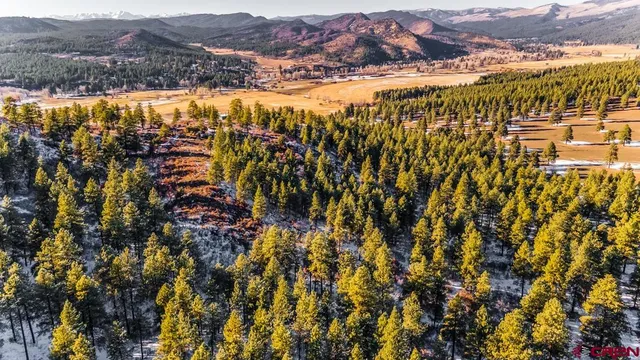 $599,000 | Tbd Lot 13 Tbd Drive, Bayfield, CO 81122