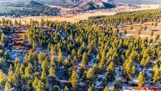 $599,000 | Tbd Lot 13 Tbd Drive, Bayfield, CO 81122